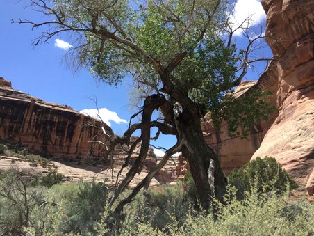 Enlarge photo 155