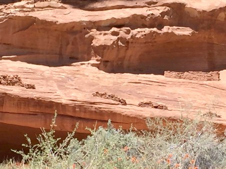 Enlarge photo 159