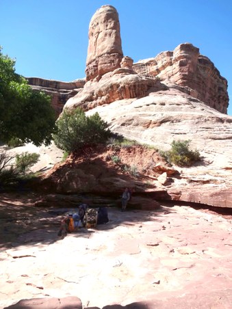 Enlarge photo 182