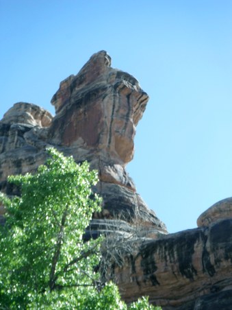Enlarge photo 186