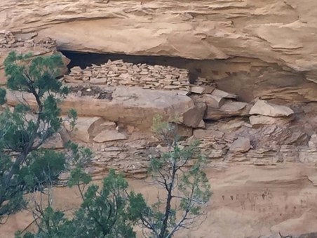 Enlarge photo 196