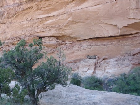 Enlarge photo 195