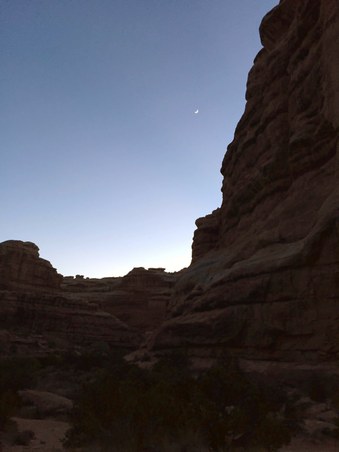 Enlarge photo 206
