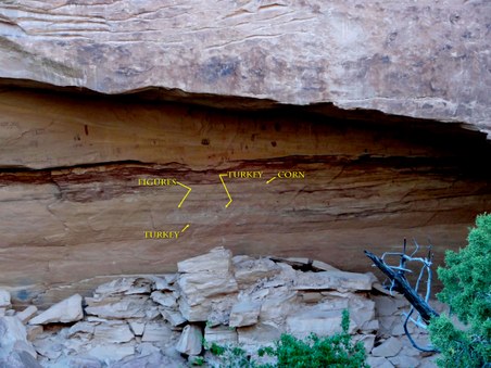 Enlarge photo 45