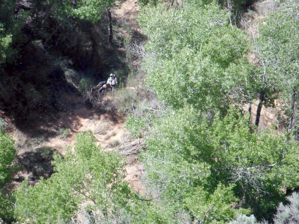 View Original Image