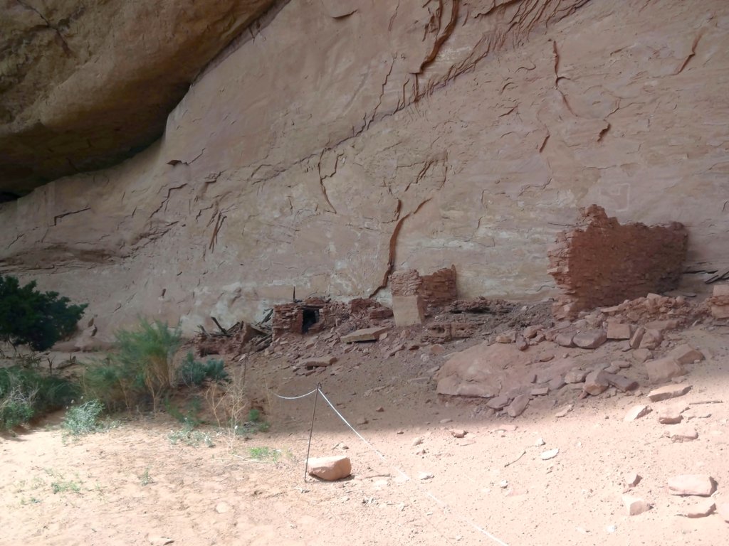 View Original Image