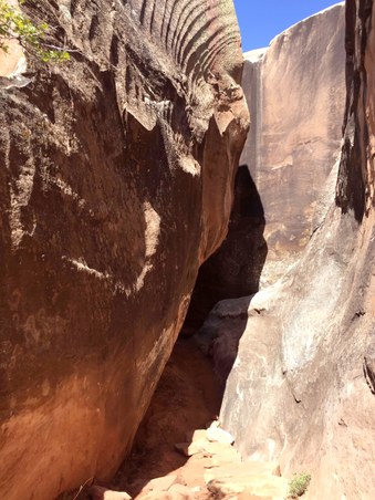 Enlarge photo 25