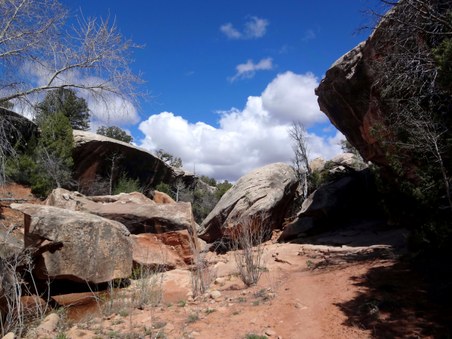 Enlarge photo 32