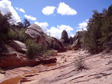 Enlarge photo 35