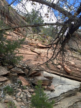 Enlarge photo 54
