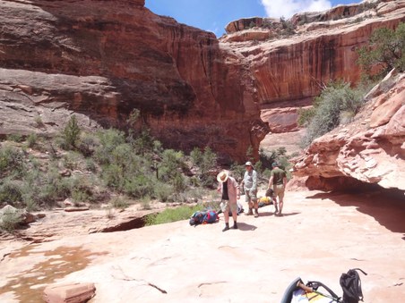 Enlarge photo 76
