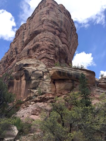 Enlarge photo 81