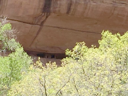 Enlarge photo 89