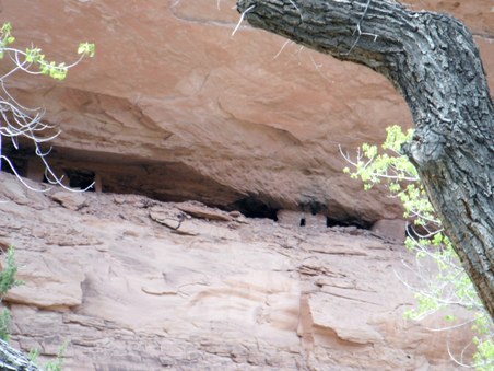 Enlarge photo 91