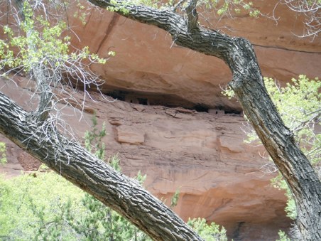 Enlarge photo 90