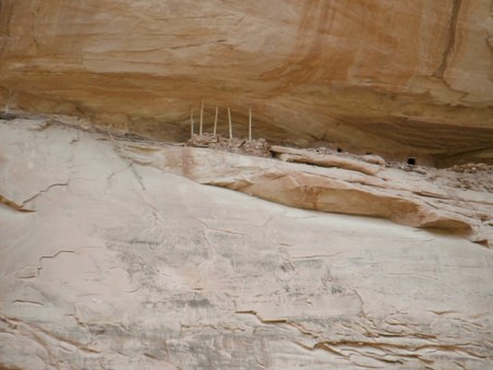 Enlarge photo 93