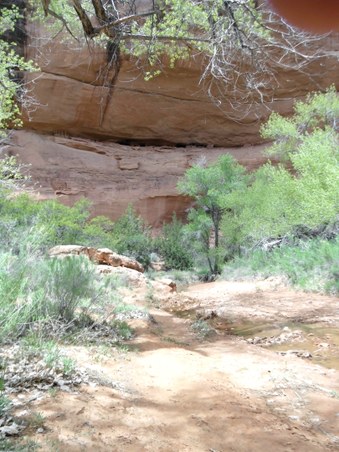 Enlarge photo 92