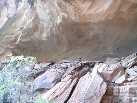 Enlarge photo 96