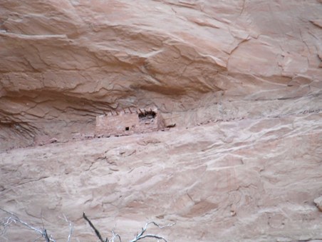Enlarge photo 102