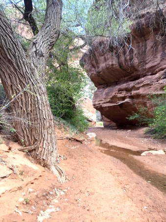 Enlarge photo 103