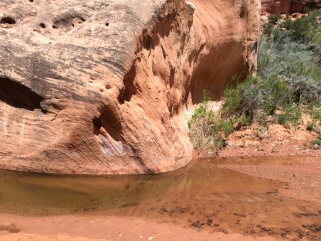 Enlarge photo 108