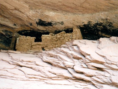 Enlarge photo 135