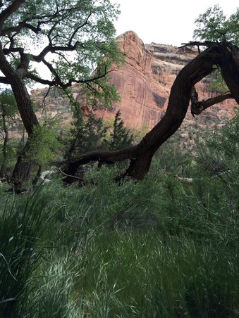 Enlarge photo 143