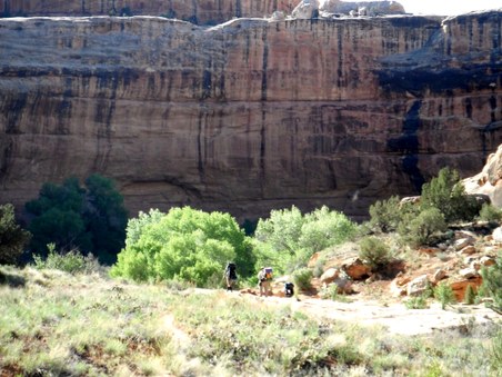 Enlarge photo 7