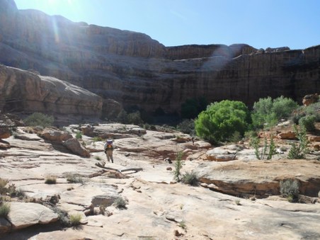 Enlarge photo 9