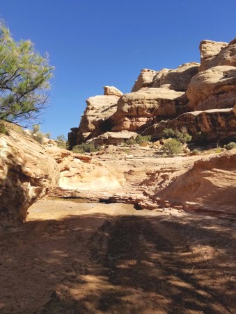 Enlarge photo 11