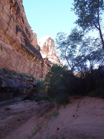 Enlarge photo 13