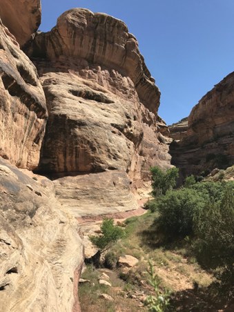 Enlarge photo 18