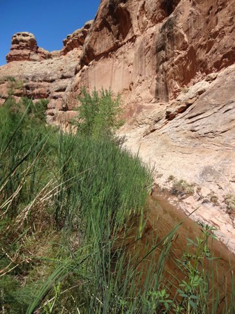 Enlarge photo 21