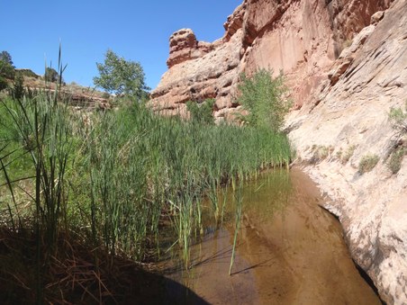 Enlarge photo 22