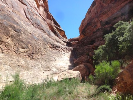 Enlarge photo 25
