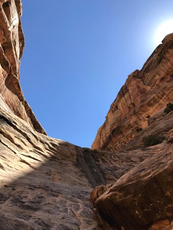 Enlarge photo 26