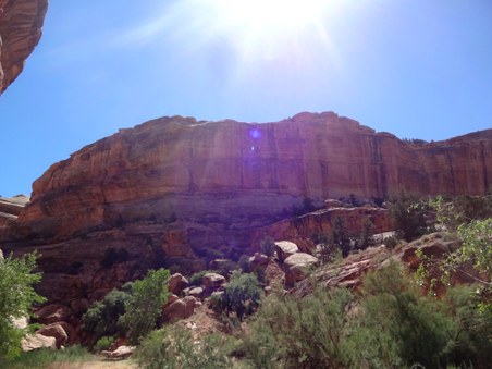 Enlarge photo 27