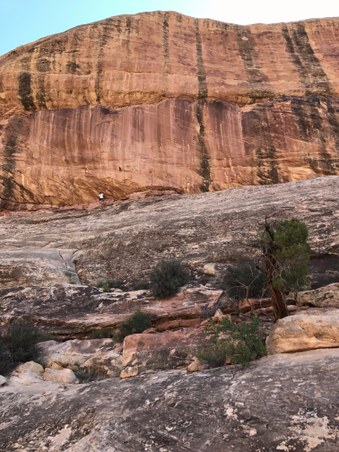 Enlarge photo 28