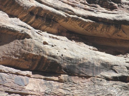 Enlarge photo 31