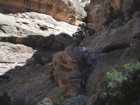 Enlarge photo 34
