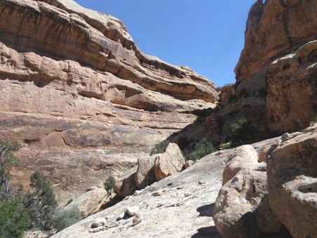 Enlarge photo 35
