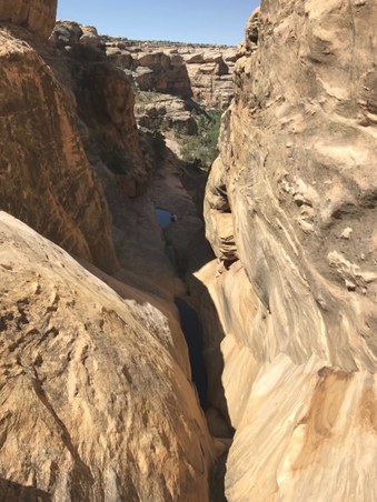 Enlarge photo 36