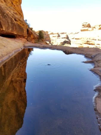 Enlarge photo 38