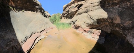Enlarge photo 40
