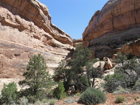 Enlarge photo 45
