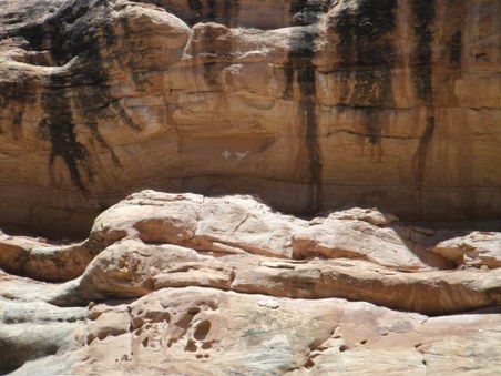 Enlarge photo 48