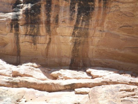 Enlarge photo 49