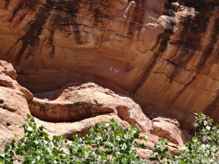 Enlarge photo 51