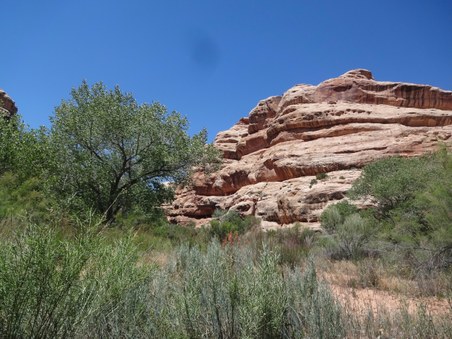 Enlarge photo 71