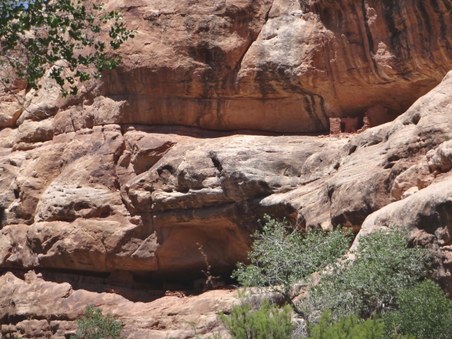 Enlarge photo 72